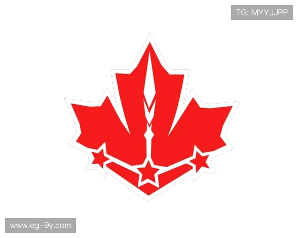 围绕红色足球队队徽展现团队荣耀与激情传承的动人故事征程传奇录